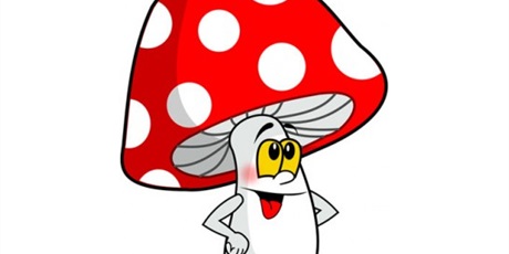 Powiększ grafikę: Muchomorki