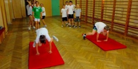 Powiększ grafikę: Muchomorki