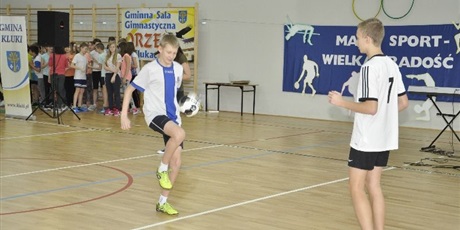 Powiększ grafikę: Muchomorki